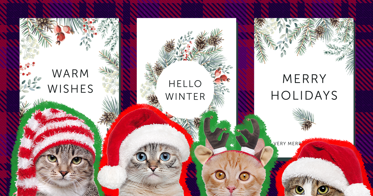 Cat Christmas Cards: The Cutest Season\'s Greetings You Can Send ...