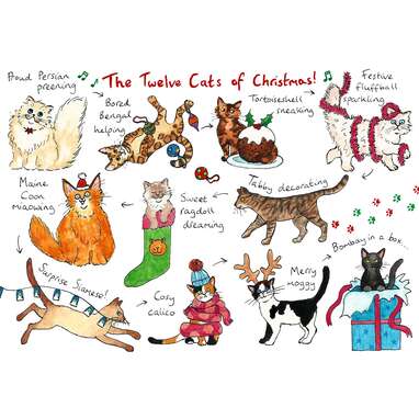 Prepare to get the song stuck in your head: The Twelve Cats of Christmas Card