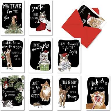 Even more sass: NobleWorks Funny Assorted Christmas Cards