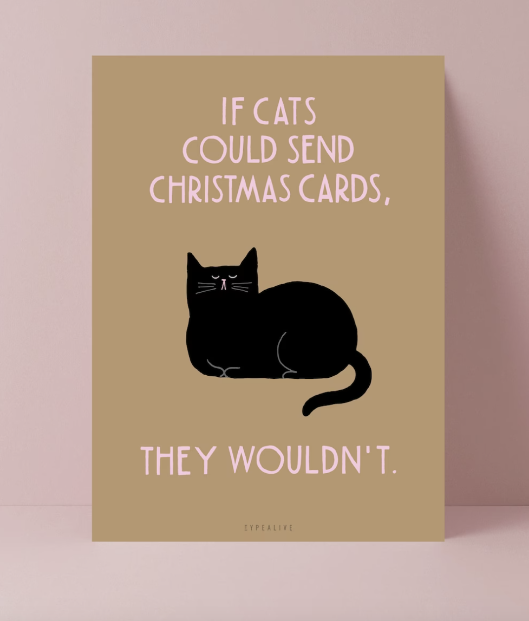 Funny Cat Pictures With Captions Christmas Cat Christmas Cards Cute