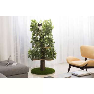 A cat tree that looks like a real tree: 60" Henrietta Cat Tree