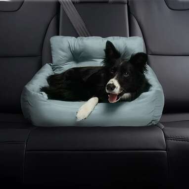 A way for your pup to travel comfortably: Sheard Seat Belt Compatible Travel Pet Bed