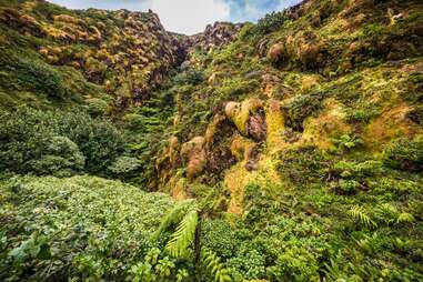 cliffside with greenery