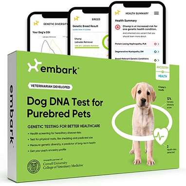 Perfect for purebreds: Embark Dog DNA Test for Purebred Pets