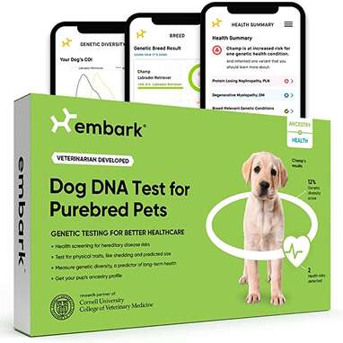 Embark Vet - Dog DNA Testing 