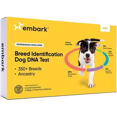 Dog dna testing price sale