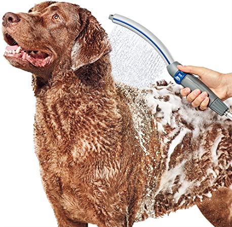 Aquapaw Dog Bath Brush Pro - Sprayer and Scrubber Tool in One - Indoor –  Aquapaw, LLC