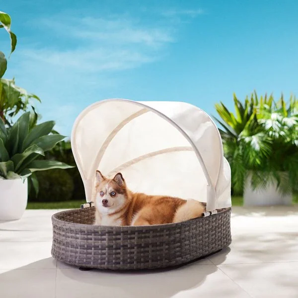 Frisco Outdoor Wicker Retractable Canopy Dog Bed