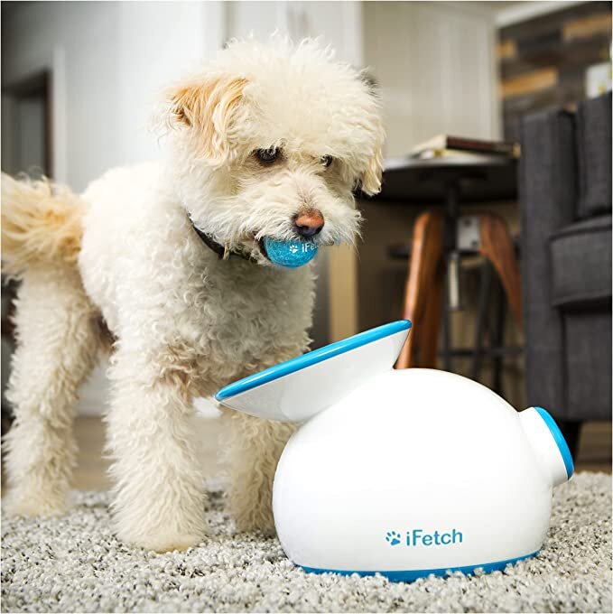 iFetch Interactive Ball Launchers for Dogs