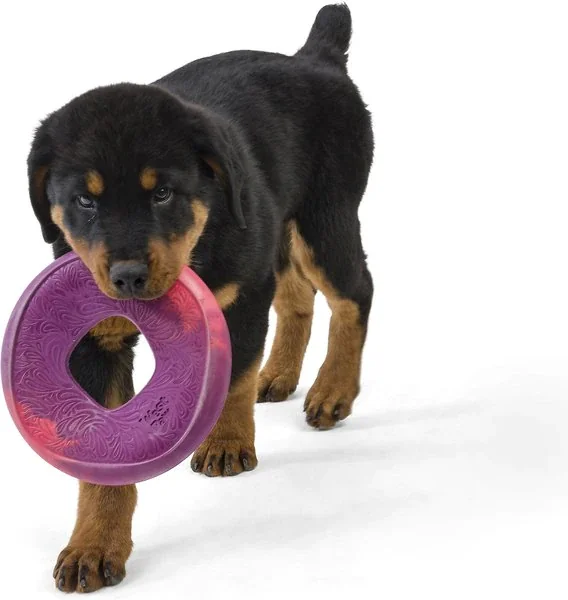 West Paw Sailz Dog Fetch Toy