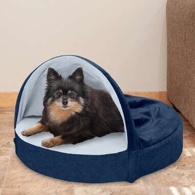 For the pup who loves his blanket: Charlotte Snuggly Cave Hooded Dog Dome