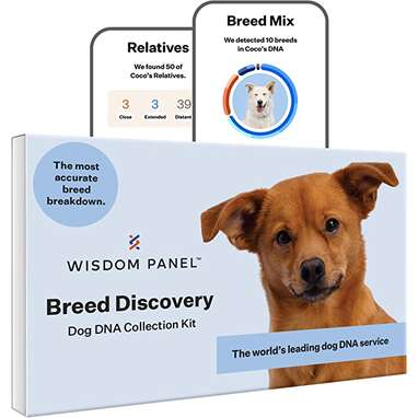 Wisdom panel 2025 black friday