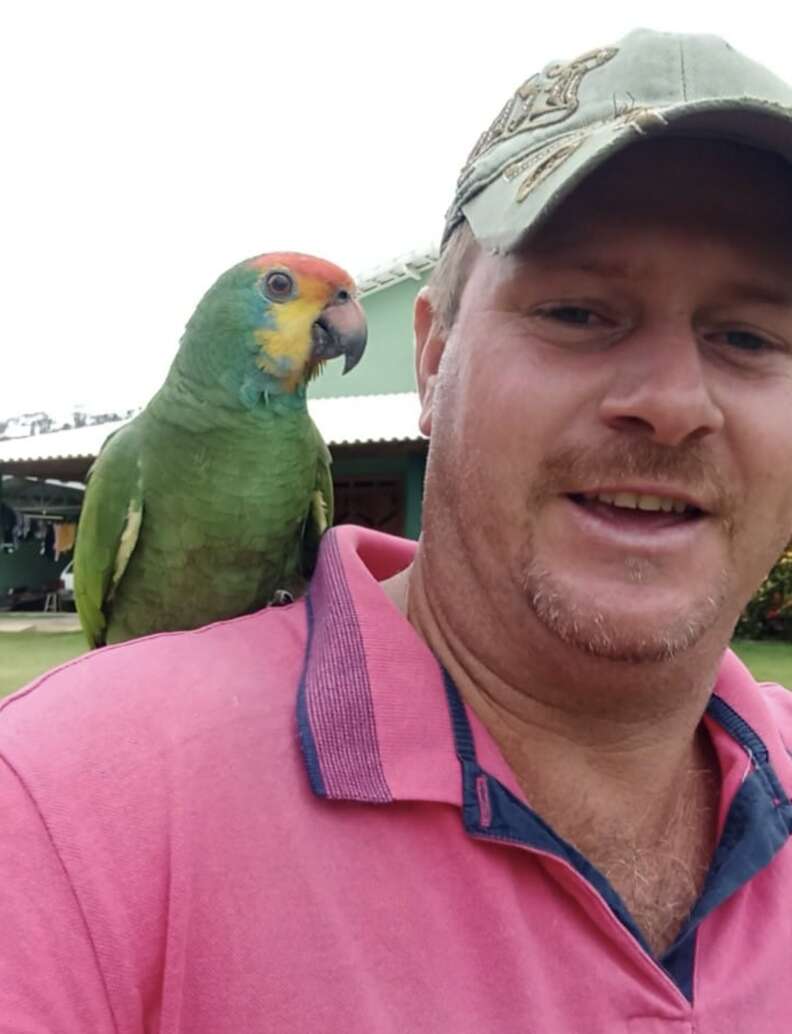 Guy Peeks Into Parrot's Nest And Finds An Unlikely Family - The Dodo