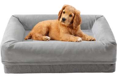 An extra sense of security: Sycoodeal Dog Bed Mat with All-Around Bolster
