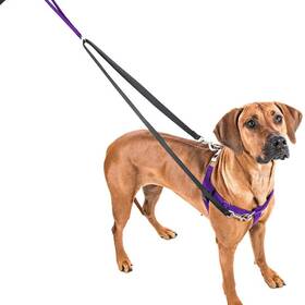 Dog Collar Airtag Holder Purple Adjustable Dog Collar with Tie Dog Collar  with Quick Release Buckle Dog Necklace with Bell for Small Medium Breed Dog