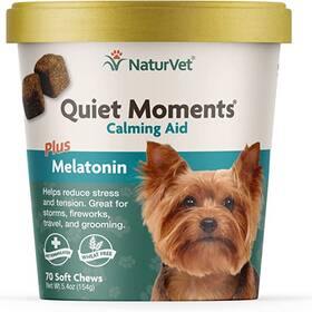 Top rated calming store treats for dogs