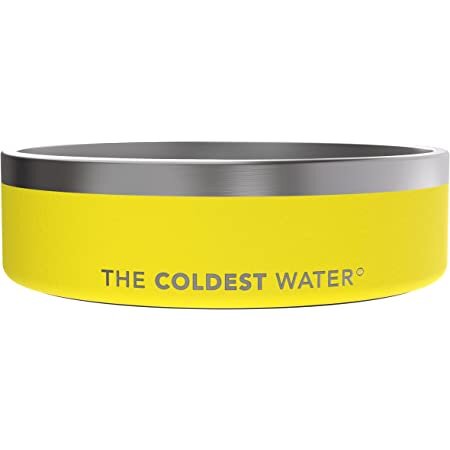 The Coldest Water Dog Bowl