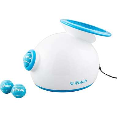 This toy plays fetch for you: iFetch Mini Automatic Ball Launcher Dog Toy