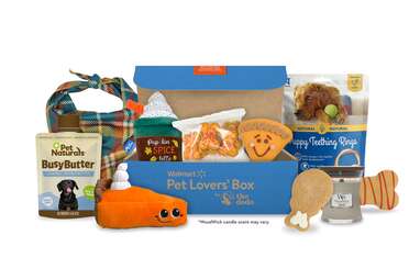 Our personal favorite: Walmart Pet Lovers’ Box with The Dodo