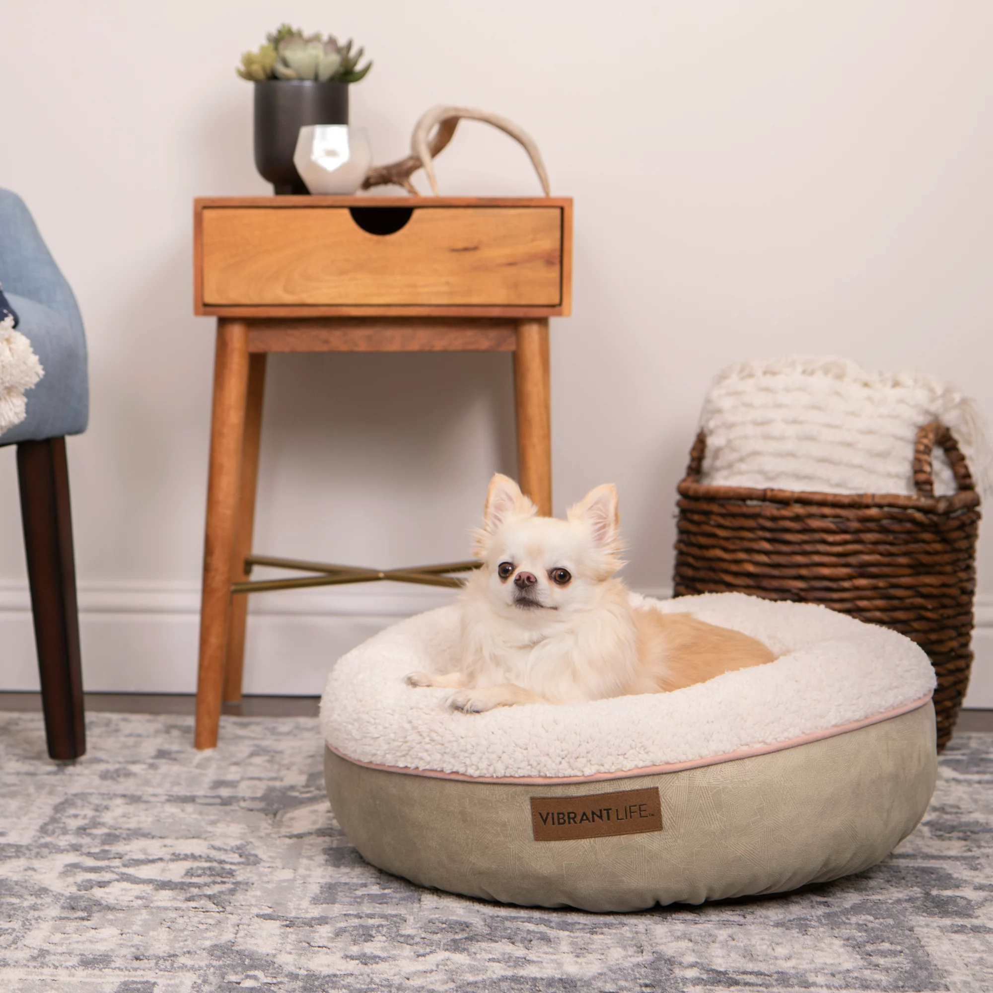 Vibrant Life Sweet Sleeper Pet Bed