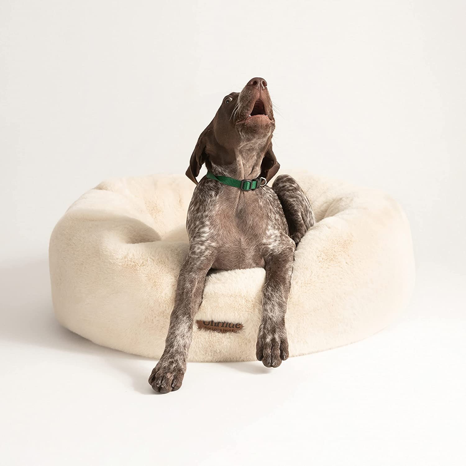 UnHide Floof Pet Bed