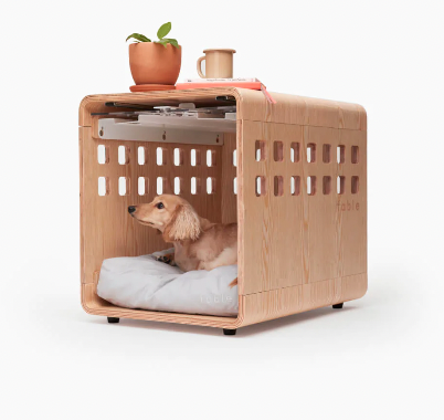 Rover Test Pups Review the Luxurious Fable Dog Crate