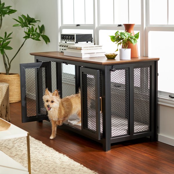 Chewy dog fence best sale