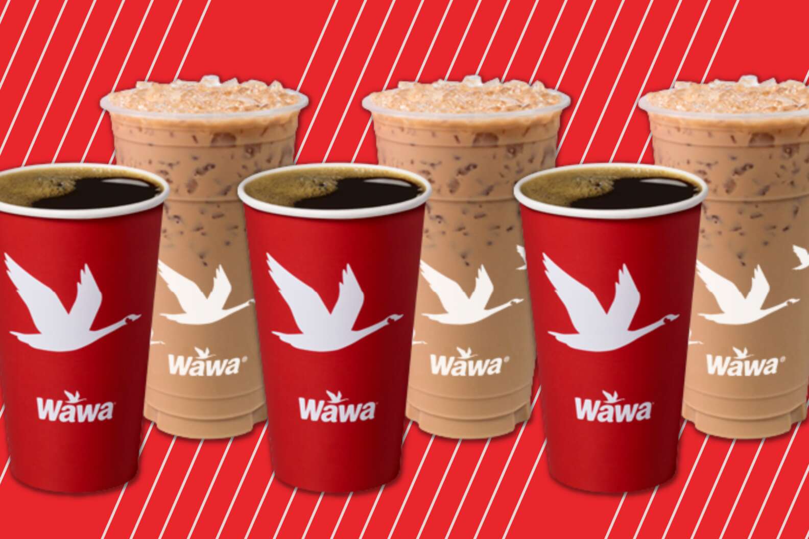 Wawa Brings Back Free Coffee Tuesdays for Rewards Members Thrillist