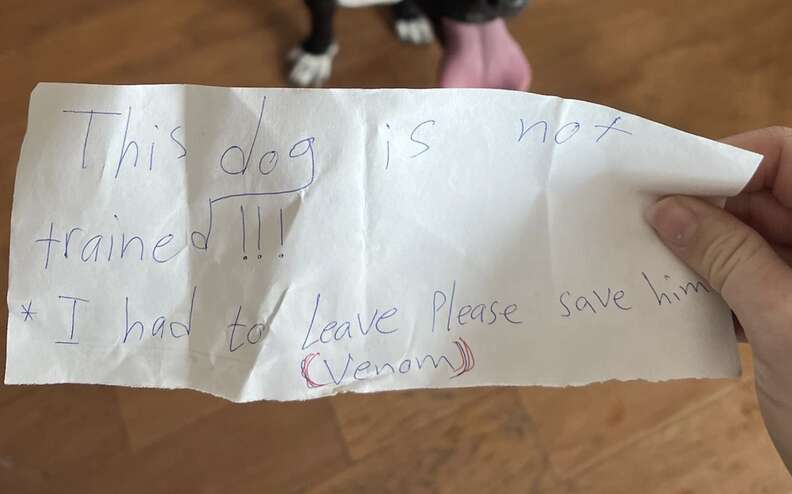 A sad note left with a dog.