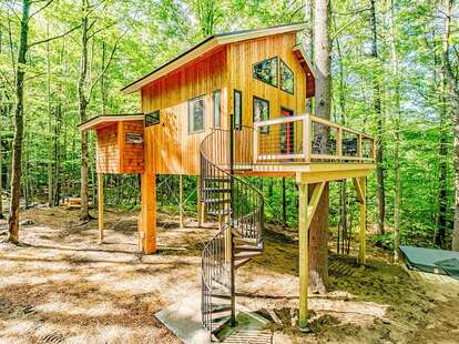 treehouse in forest