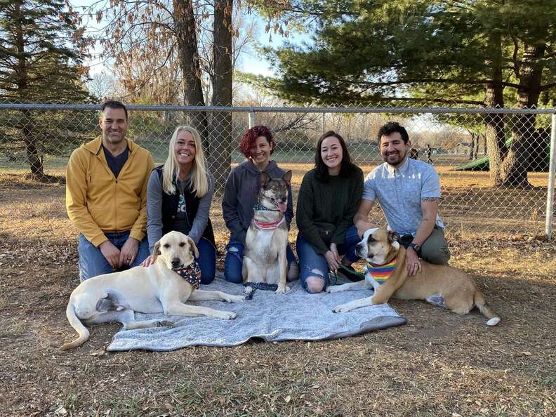 Dogs and their families reunite.