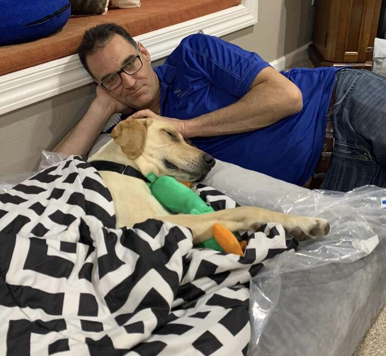 A dog sleeps next to his dad.