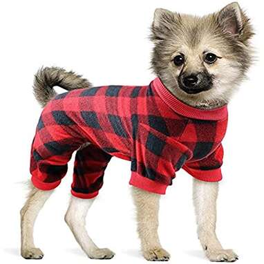 Dog Christmas Pajamas: 11 Picks To Get Him Ready For Christmas