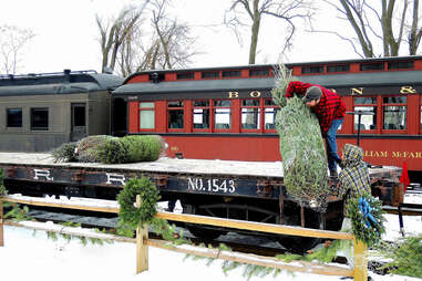 person loading train with christmas tree