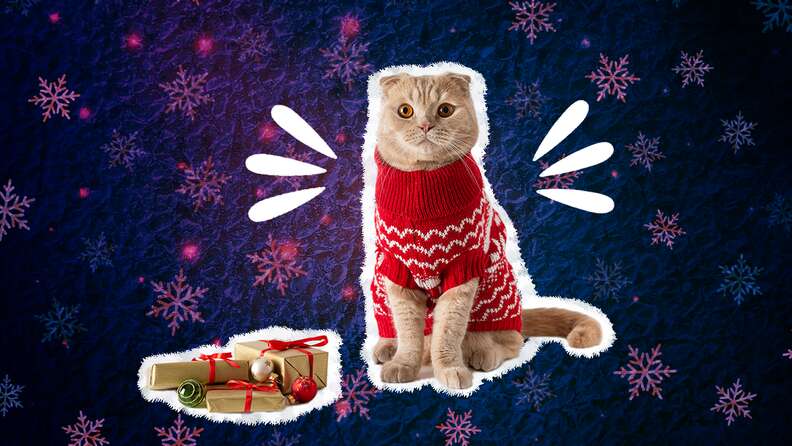 Funny cat best sale christmas sweaters