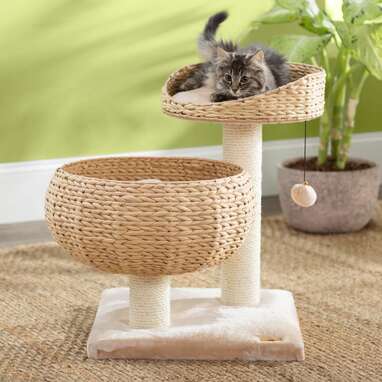 For “cottagecore” cat parents: Archie & Oscar Nolette Cat Perch