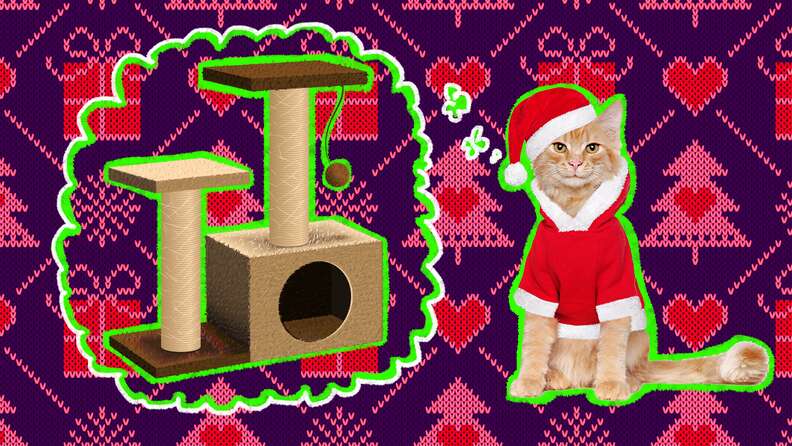 Cat tree hot sale cyber monday