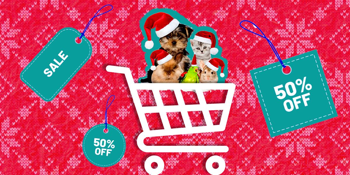 Black Friday And Cyber Monday Pet Deals Save Big While Spoiling Your