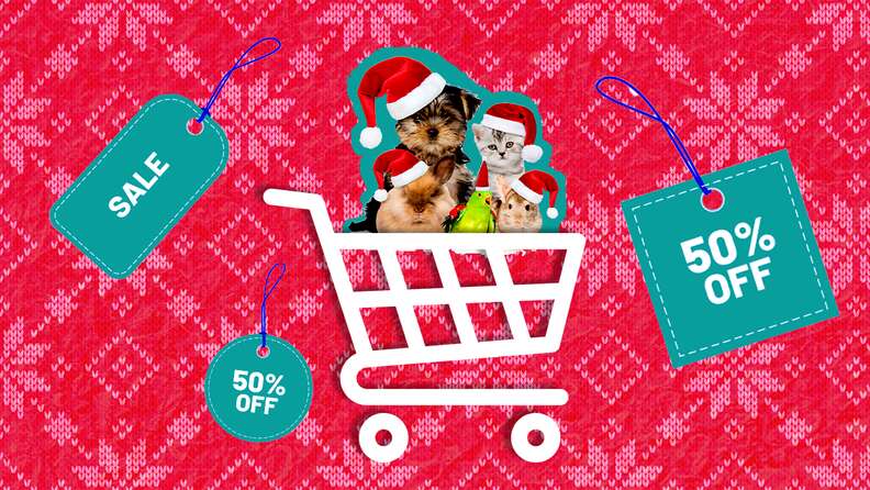 Black Friday And Cyber Monday Pet Deals Save Big While Spoiling