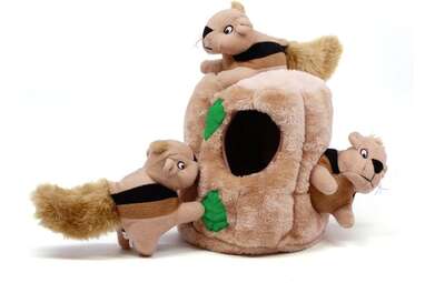 For plushy lovers: Outward Hound Hide-A-Squirrel