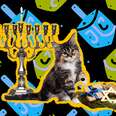 These Hanukkah Cat Toys Will Keep Your Cat Busy For More Than 8 Days