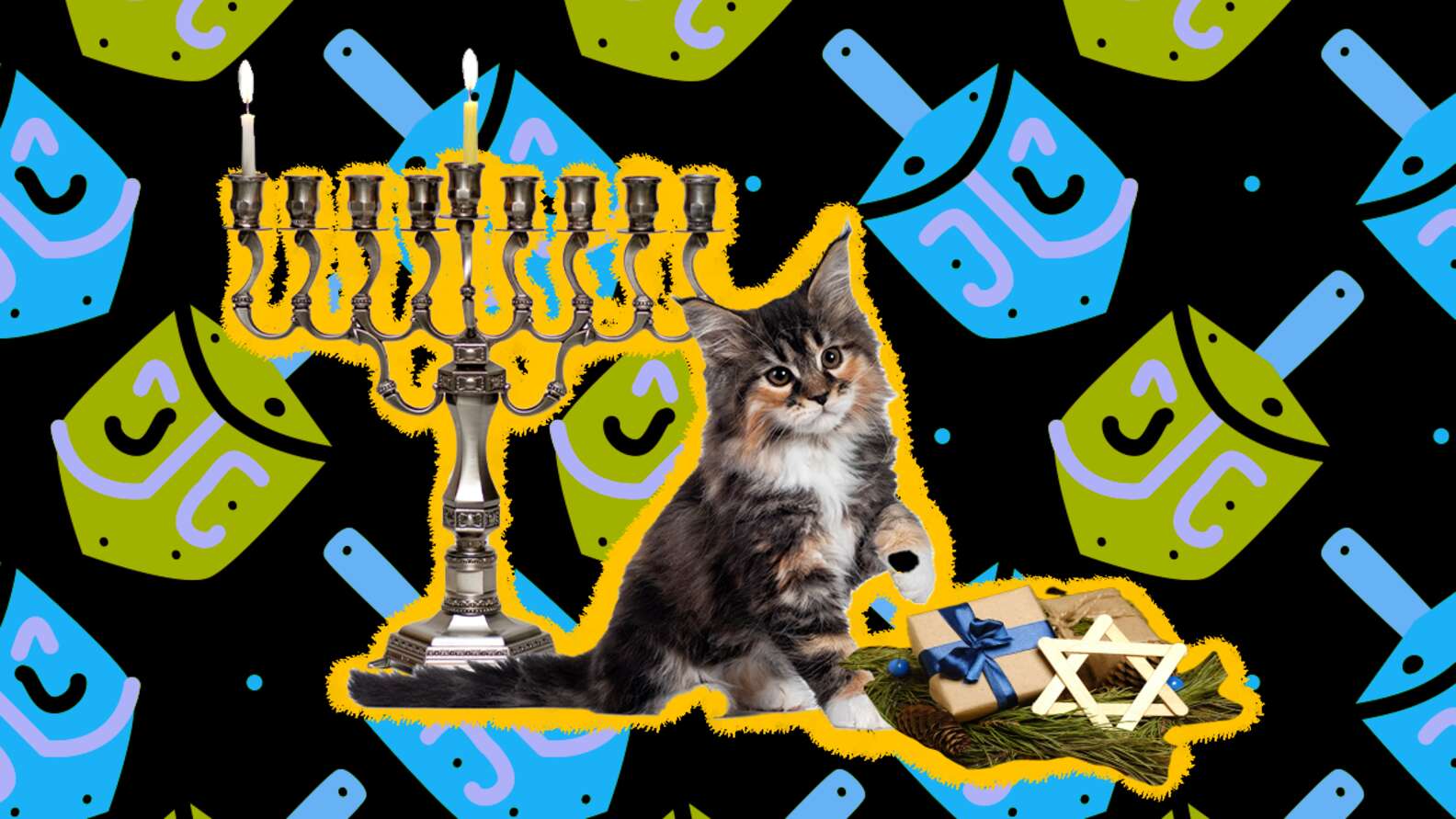 9 Hanukkah Cat Toys To Keep Your Pet Busy Throughout All 8 Days Of Celebrations - DodoWell - The