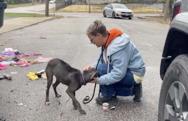 Stray Dog Found Sleeping On Trash Can't Stop Hugging Her Rescuers - The Dodo