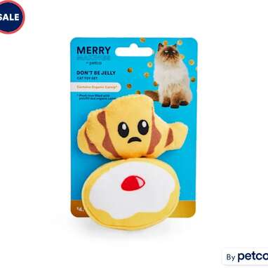 For the pastry fans: Merry Makings Don’t Be Jelly Plush Cat Toys