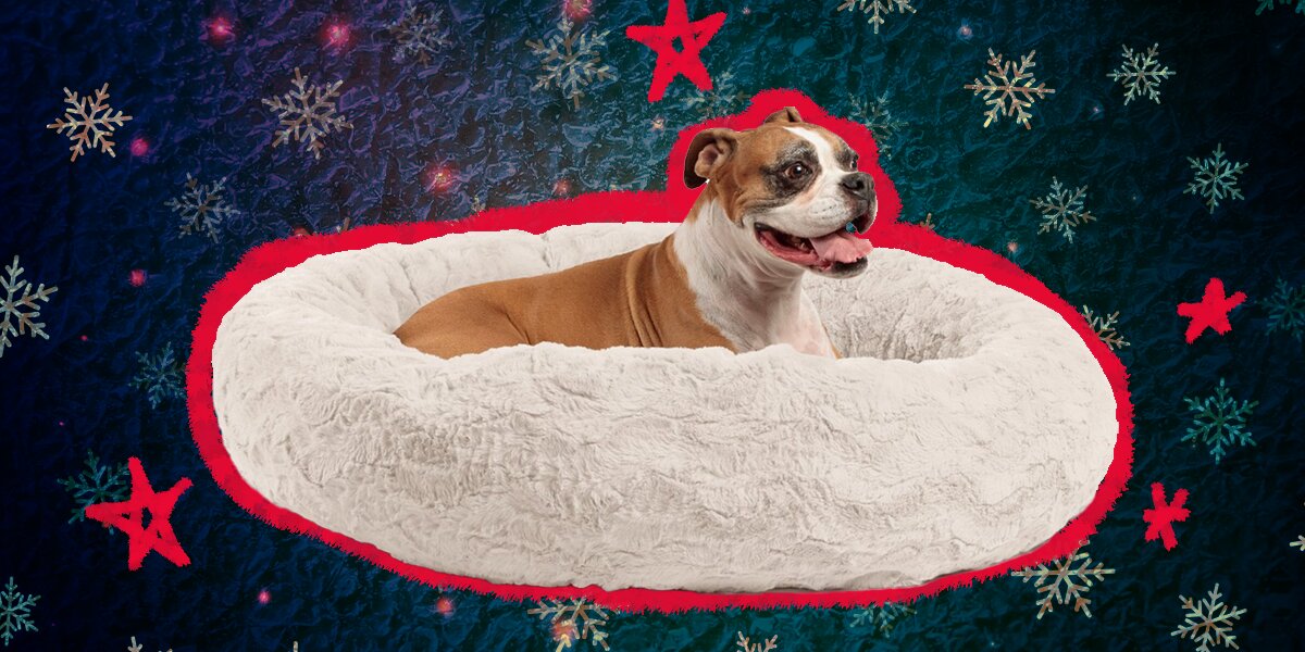 20 Dog Bed Black Friday Cyber Monday Deals You Won t Want To Miss DodoWell The Dodo