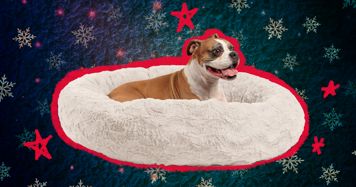 Large dog bed shop black friday sale