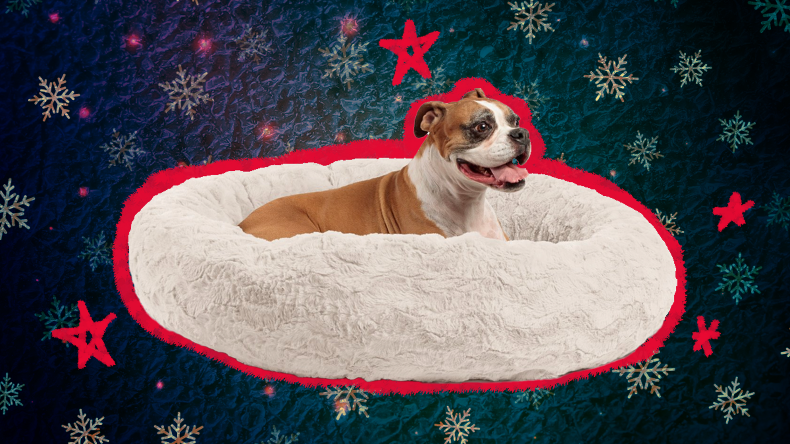 20 Dog Bed Black Friday Cyber Monday Deals You Won’t Want To Miss
