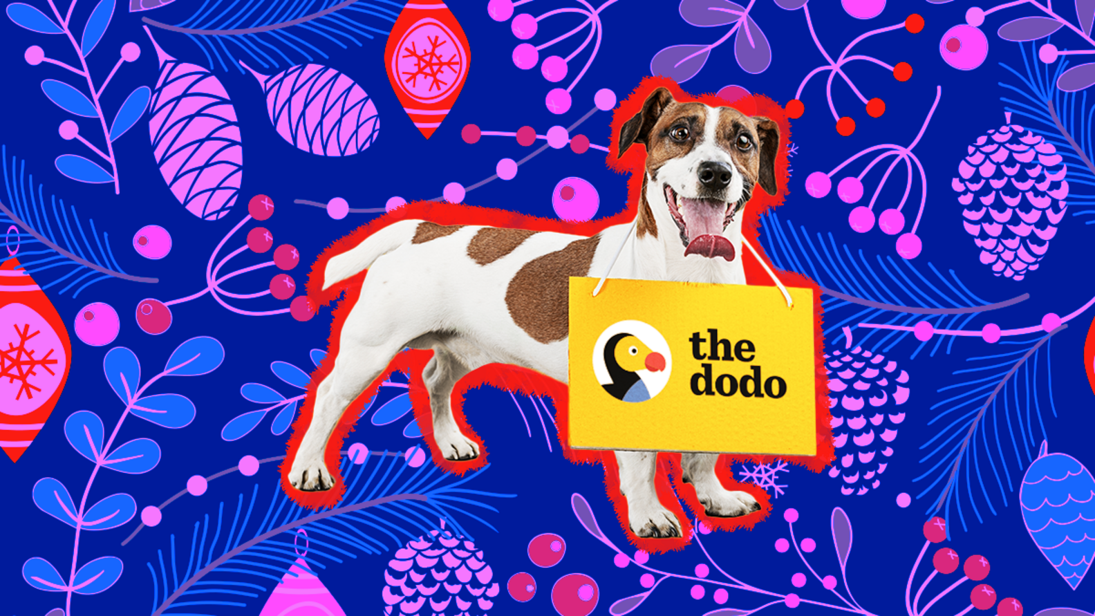 Chewy Black Friday Cyber Monday Pet Deals 23 Ways To Save On Products