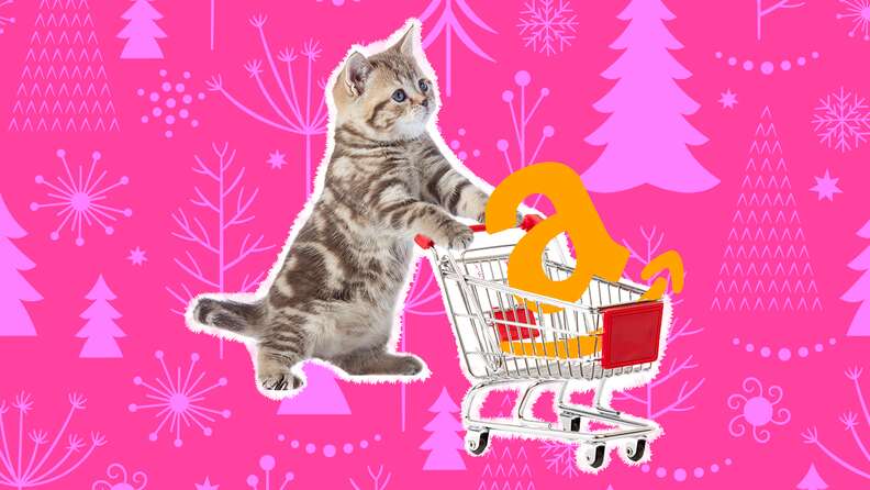 amazon black friday pet deals