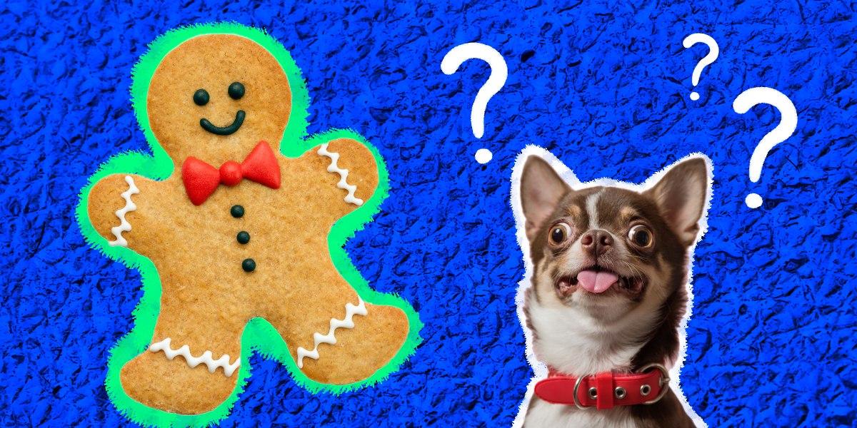 are gingerbread cookies bad for dogs